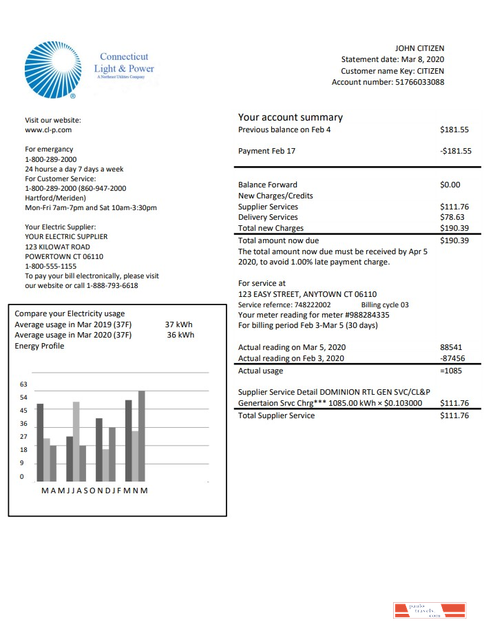 USA Connecticut Light & Power electricity utility bill in Word and PDF format